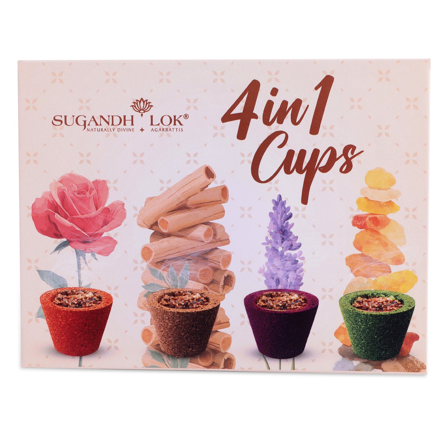 4 in 1 Havan Cups