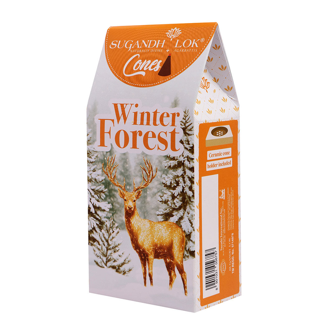 Winter Forest - Cones