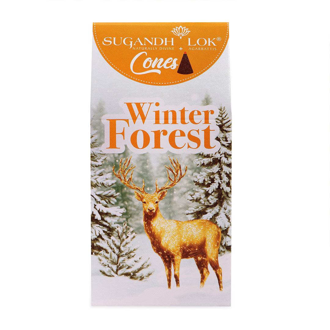 Winter Forest - Cones