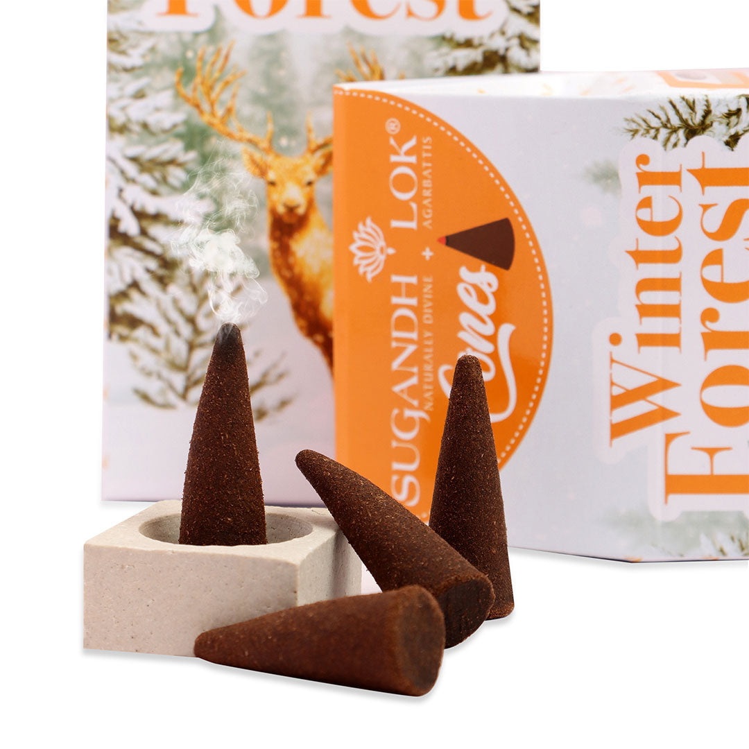 Winter Forest - Cones