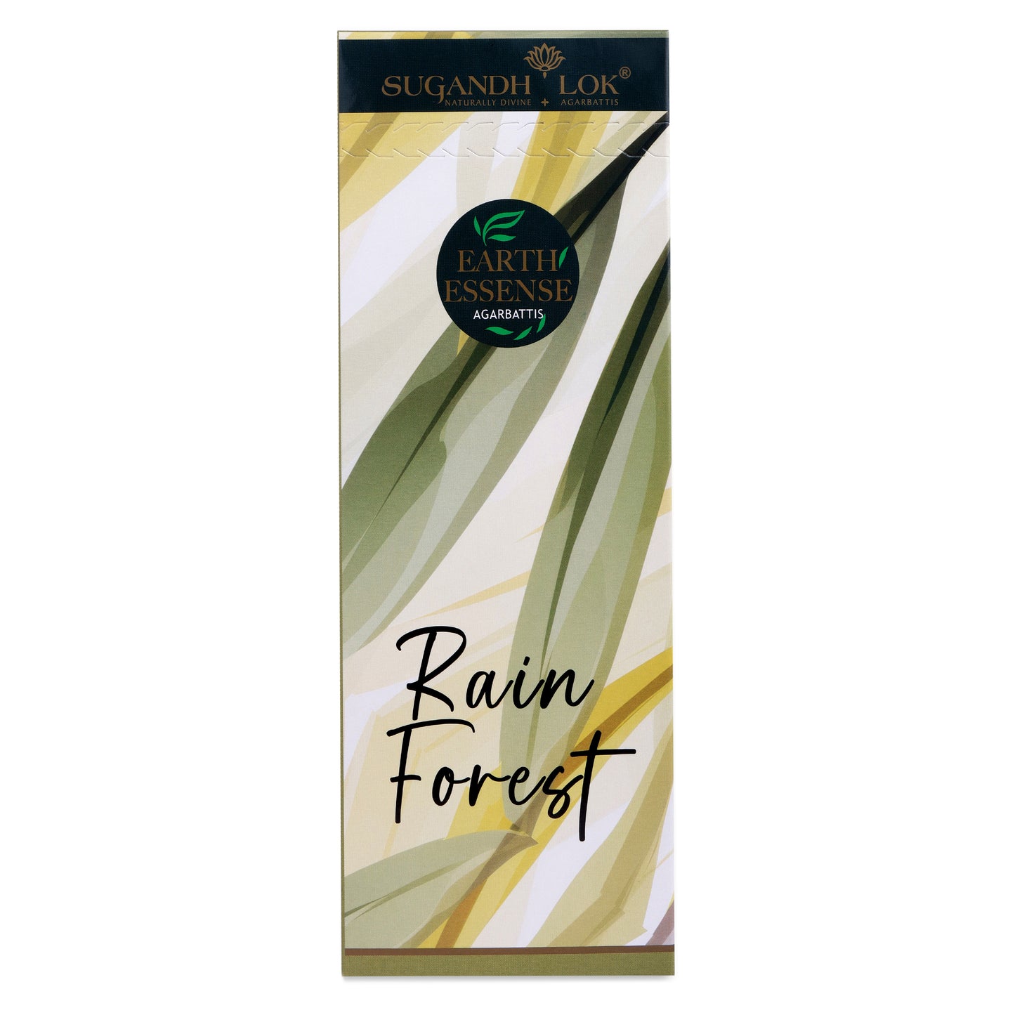 Earth Essense Rain Forest - 60 Stick Box