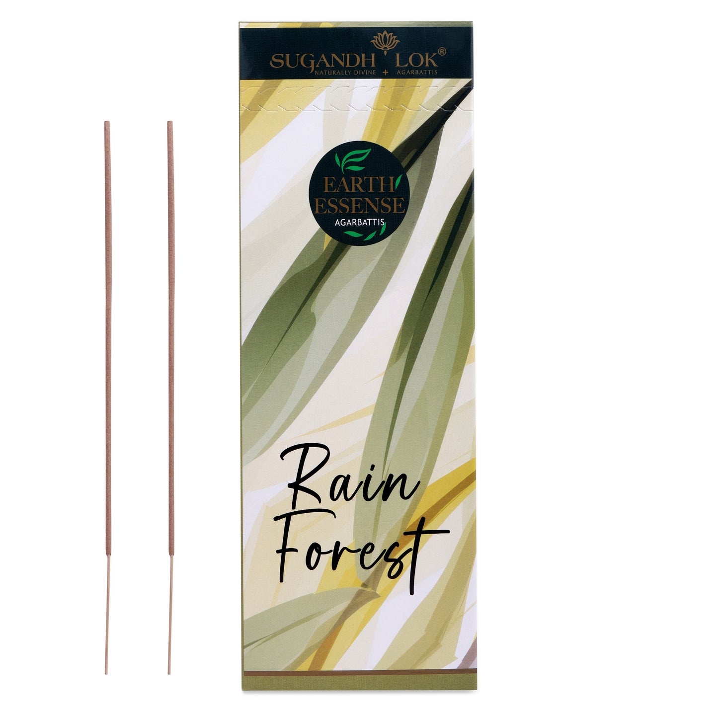 Earth Essense Rain Forest - 60 Stick Box