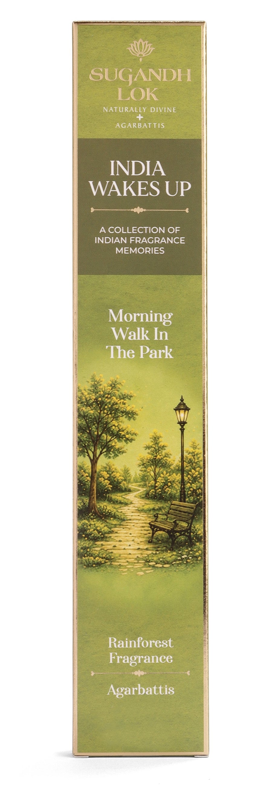 Morning Walk In The Park