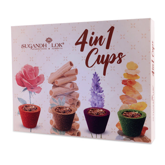 4 in 1 Havan Cups
